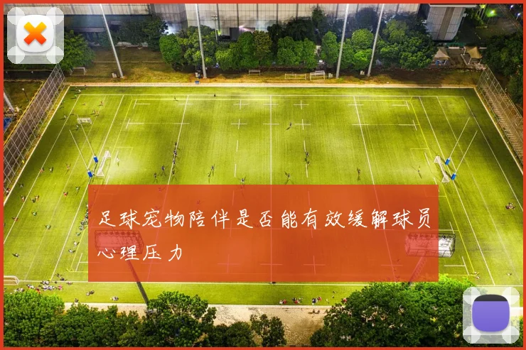 足球宠物陪伴是否能有效缓解球员心理压力