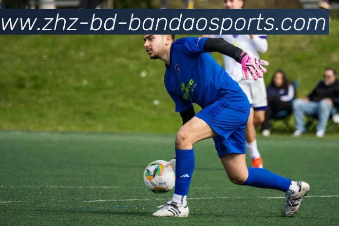 半岛体育平台生态图