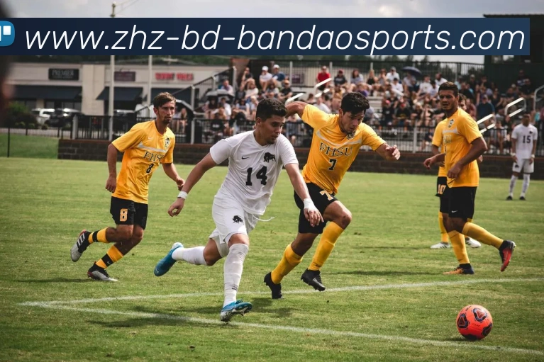 半岛体育全站App